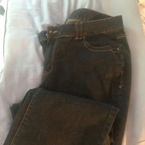Lane Bryant Dark Denim Jeans Petite